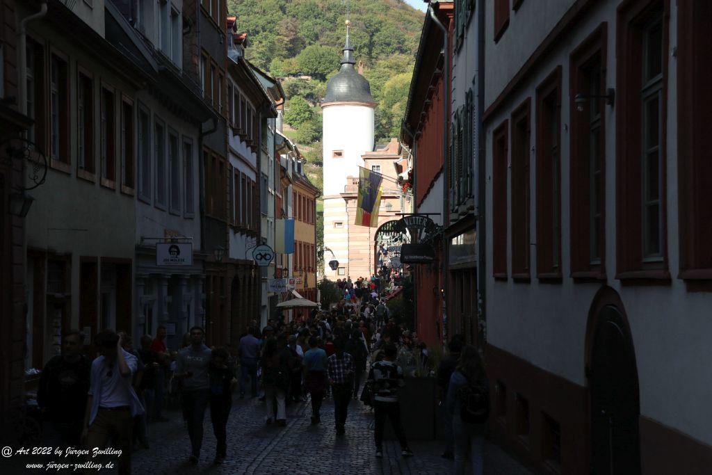Schloss Heidelberg - Schlangenweg - Philosophenweg