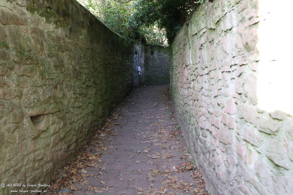 Schloss Heidelberg - Schlangenweg - Philosophenweg
