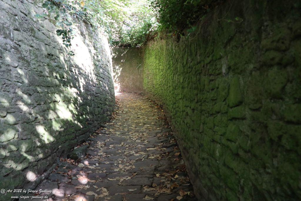 Schloss Heidelberg - Schlangenweg - Philosophenweg