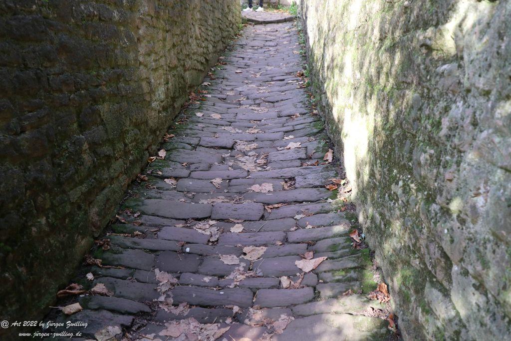 Schloss Heidelberg - Schlangenweg - Philosophenweg