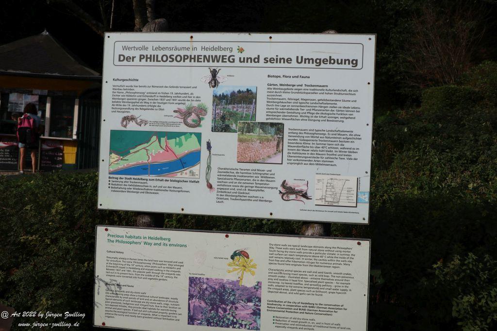 Schloss Heidelberg - Schlangenweg - Philosophenweg
