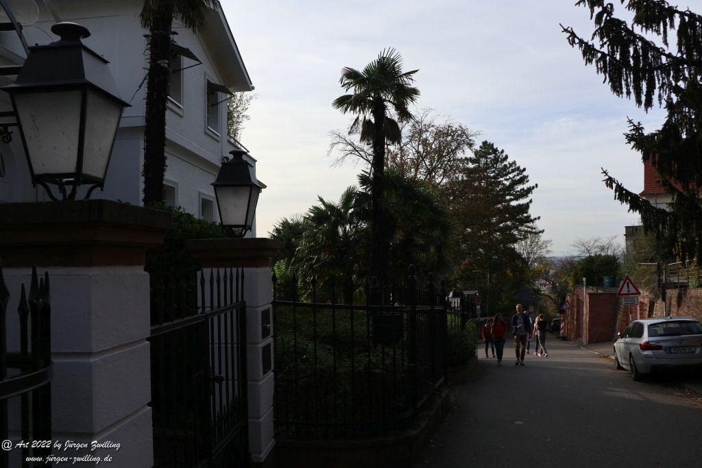 Schloss Heidelberg - Schlangenweg - Philosophenweg