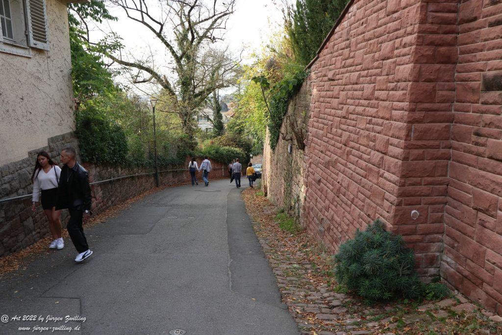 Schloss Heidelberg - Schlangenweg - Philosophenweg