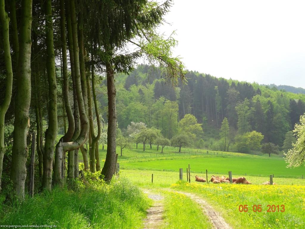 Philosophische Bildwanderung Modautaler Weitblickweg