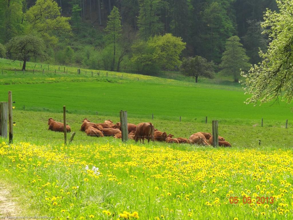 Philosophische Bildwanderung Modautaler Weitblickweg