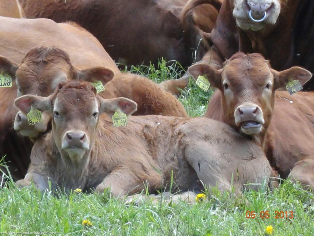 Philosophische Bildwanderung Modautaler Weitblickweg