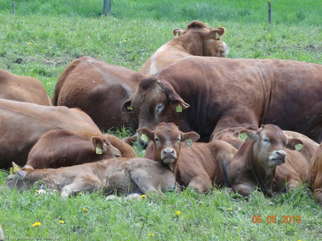 Philosophische Bildwanderung Modautaler Weitblickweg