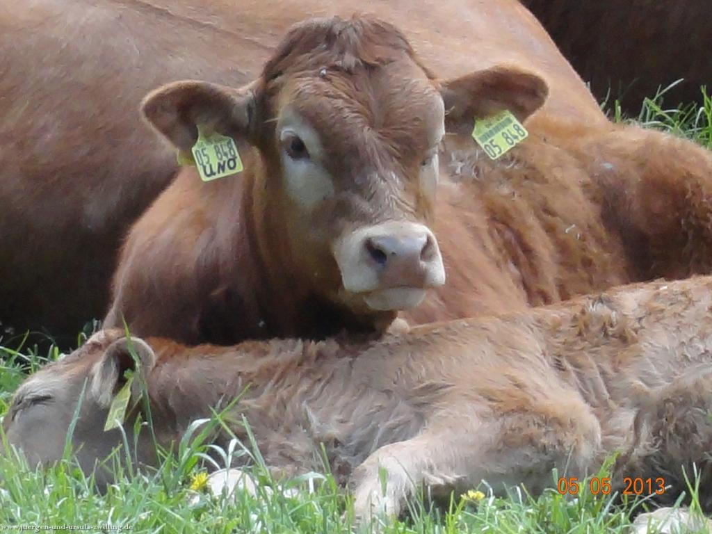 Philosophische Bildwanderung Modautaler Weitblickweg