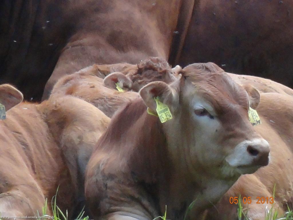 Philosophische Bildwanderung Modautaler Weitblickweg