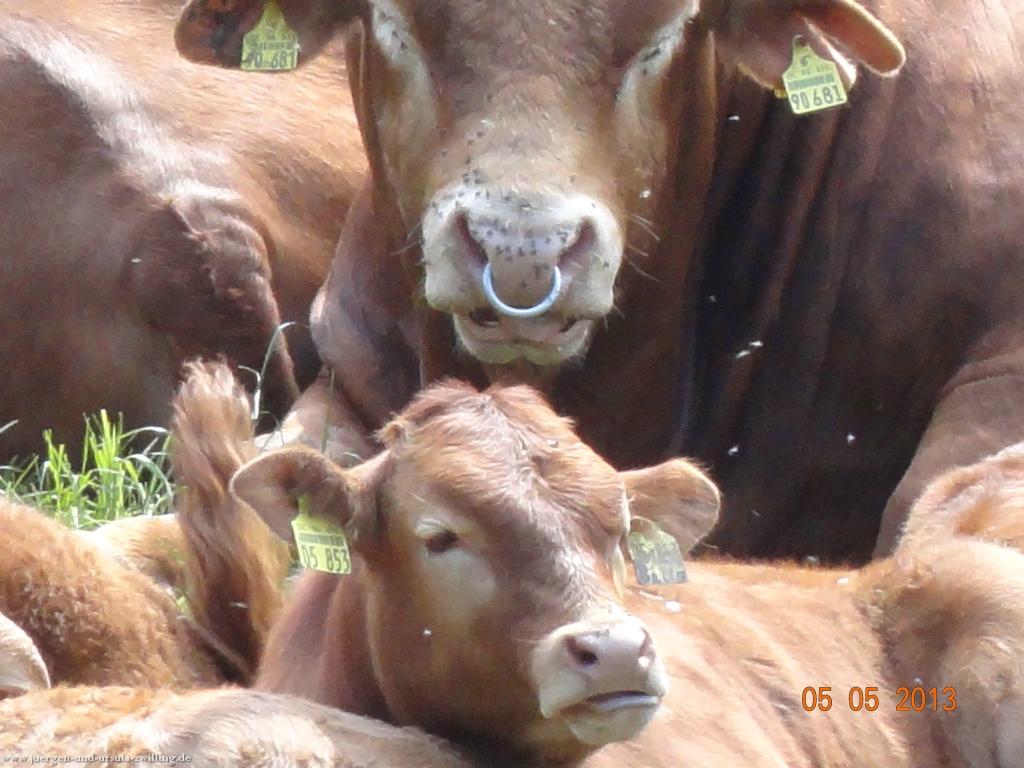 Philosophische Bildwanderung Modautaler Weitblickweg