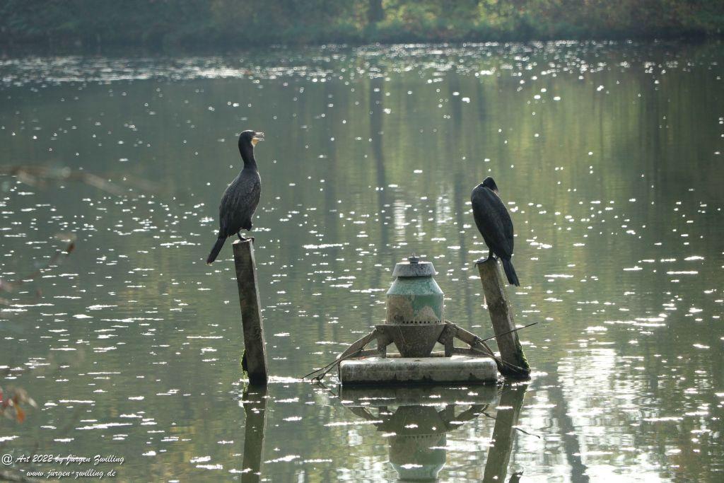 Schloss Schwetzingen