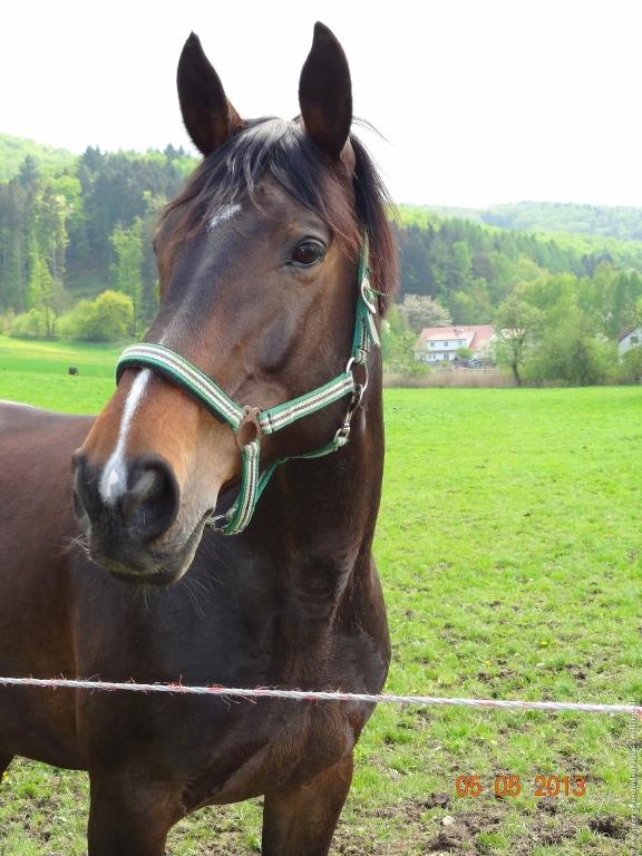 Philosophische Bildwanderung Modautaler Weitblickweg