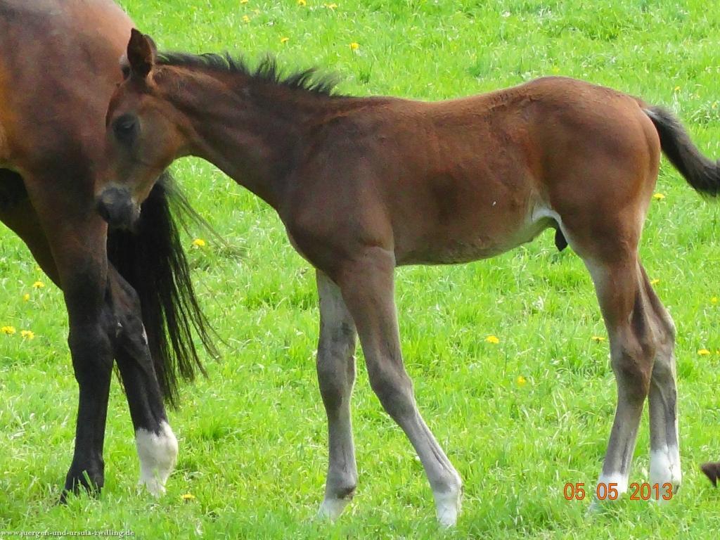 Philosophische Bildwanderung Modautaler Weitblickweg