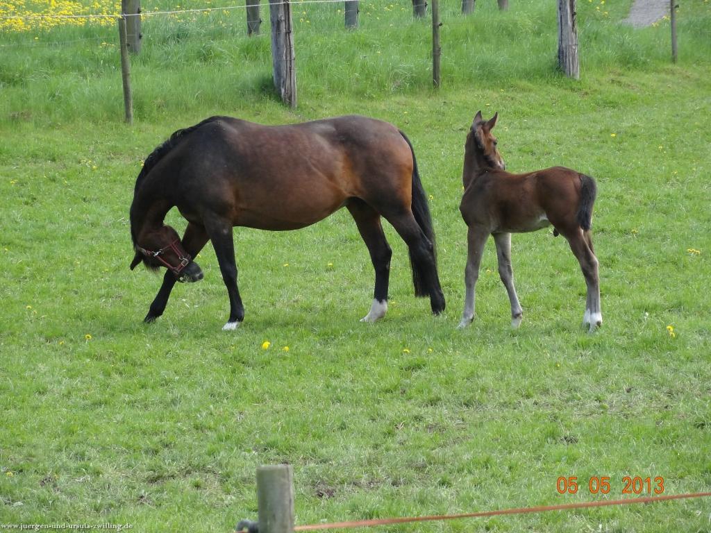 Philosophische Bildwanderung Modautaler Weitblickweg