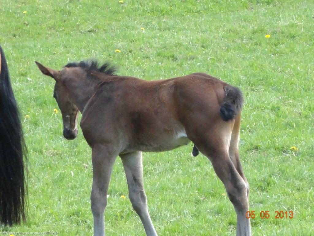Philosophische Bildwanderung Modautaler Weitblickweg