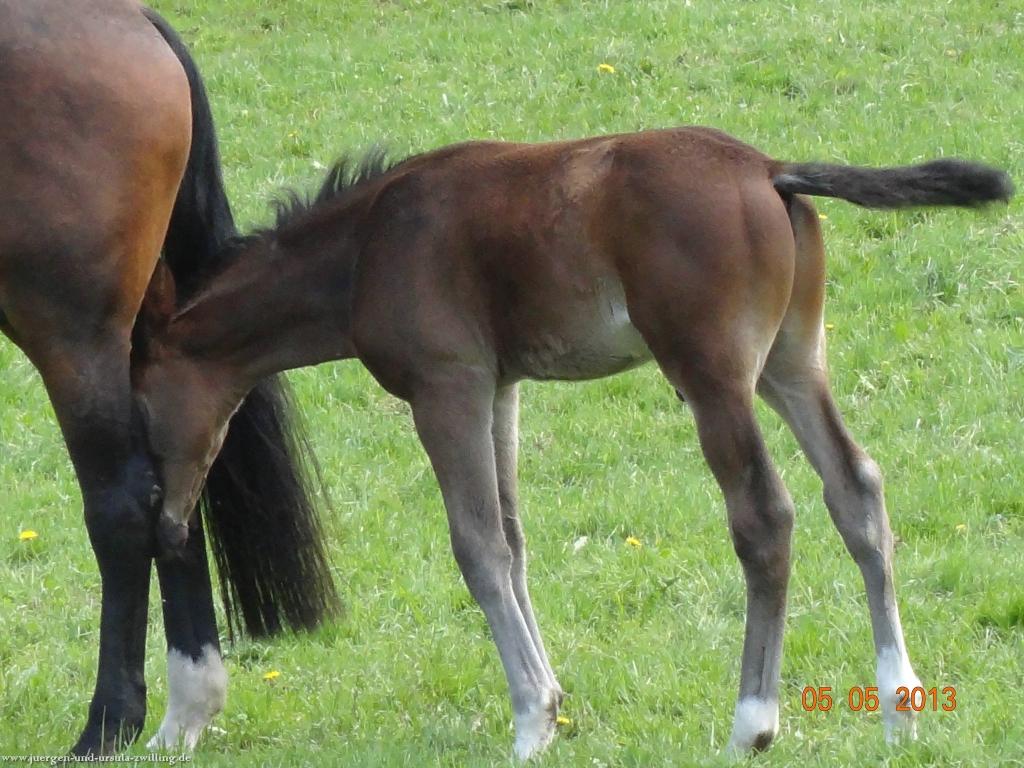 Philosophische Bildwanderung Modautaler Weitblickweg
