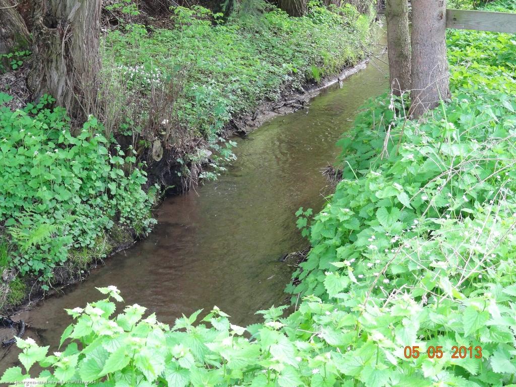 Philosophische Bildwanderung Modautaler Weitblickweg