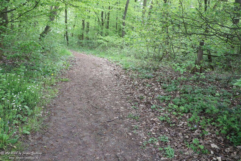 Philosophische Bildwanderung Hiwweltour Tiefenthaler Höhe - Rheinhessen