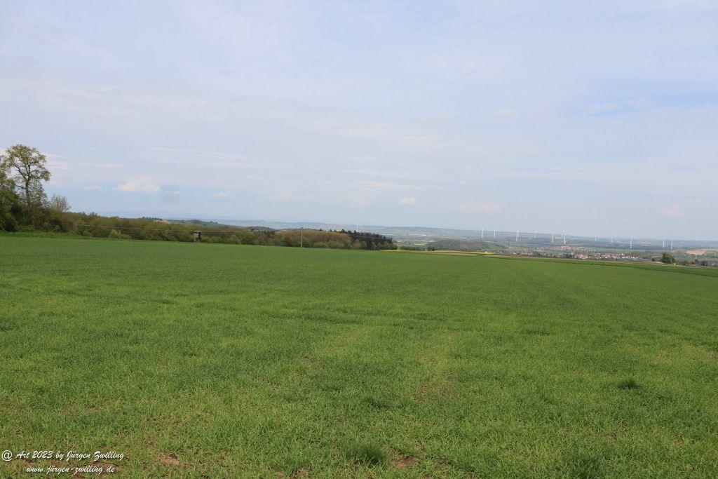 Philosophische Bildwanderung Hiwweltour Tiefenthaler Höhe - Rheinhessen