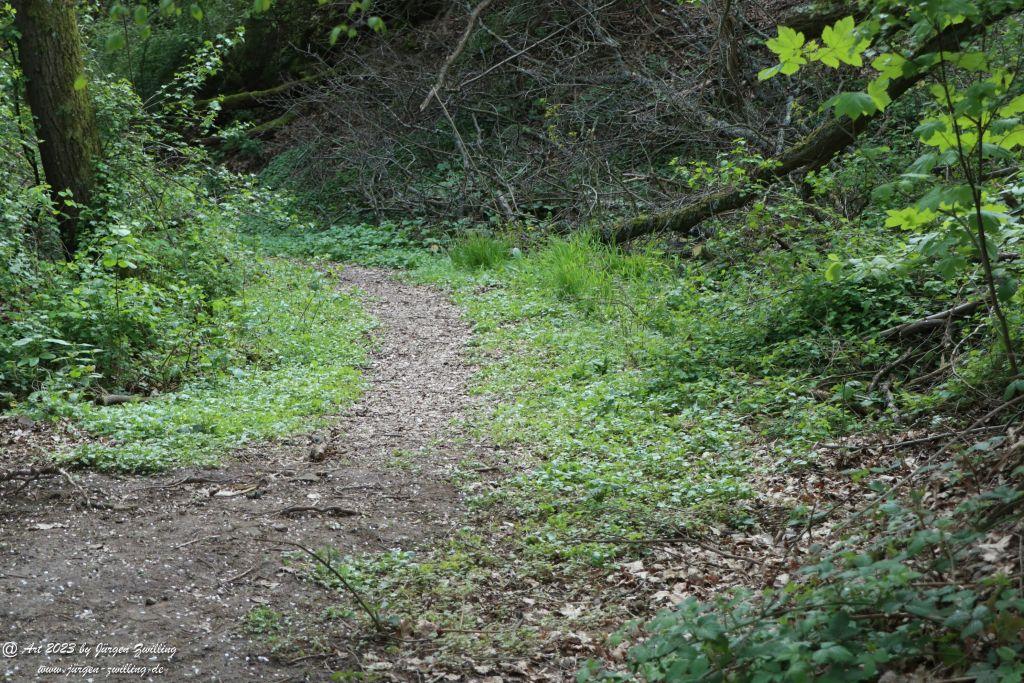 Philosophische Bildwanderung Hiwweltour Tiefenthaler Höhe - Rheinhessen