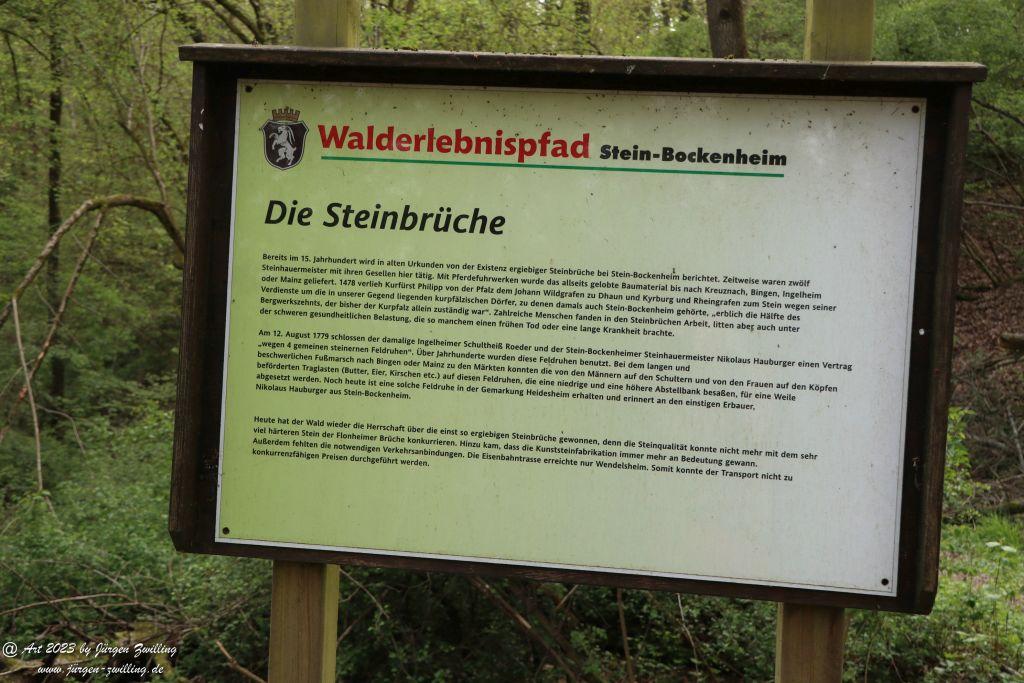 Philosophische Bildwanderung Hiwweltour Tiefenthaler Höhe - Rheinhessen