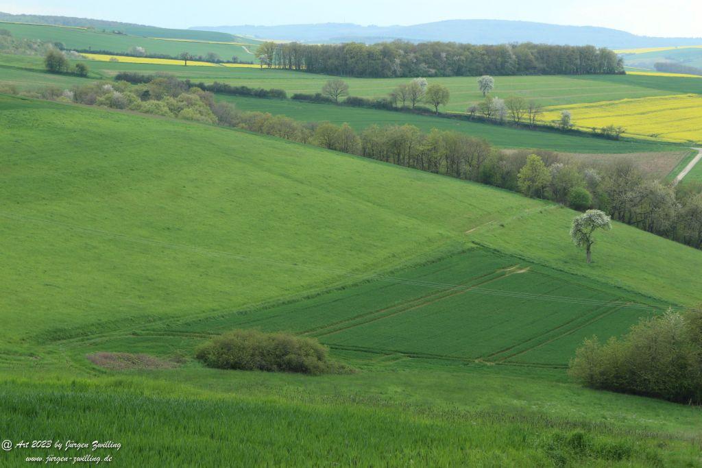 Philosophische Bildwanderung Hiwweltour Tiefenthaler Höhe - Rheinhessen