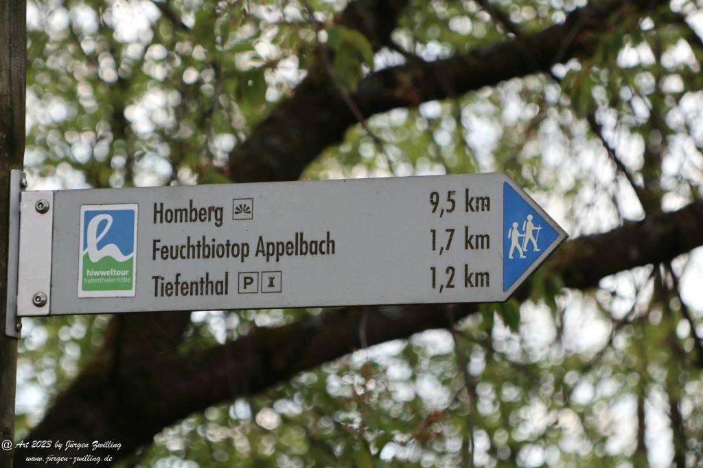 Philosophische Bildwanderung Hiwweltour Tiefenthaler Höhe - Rheinhessen