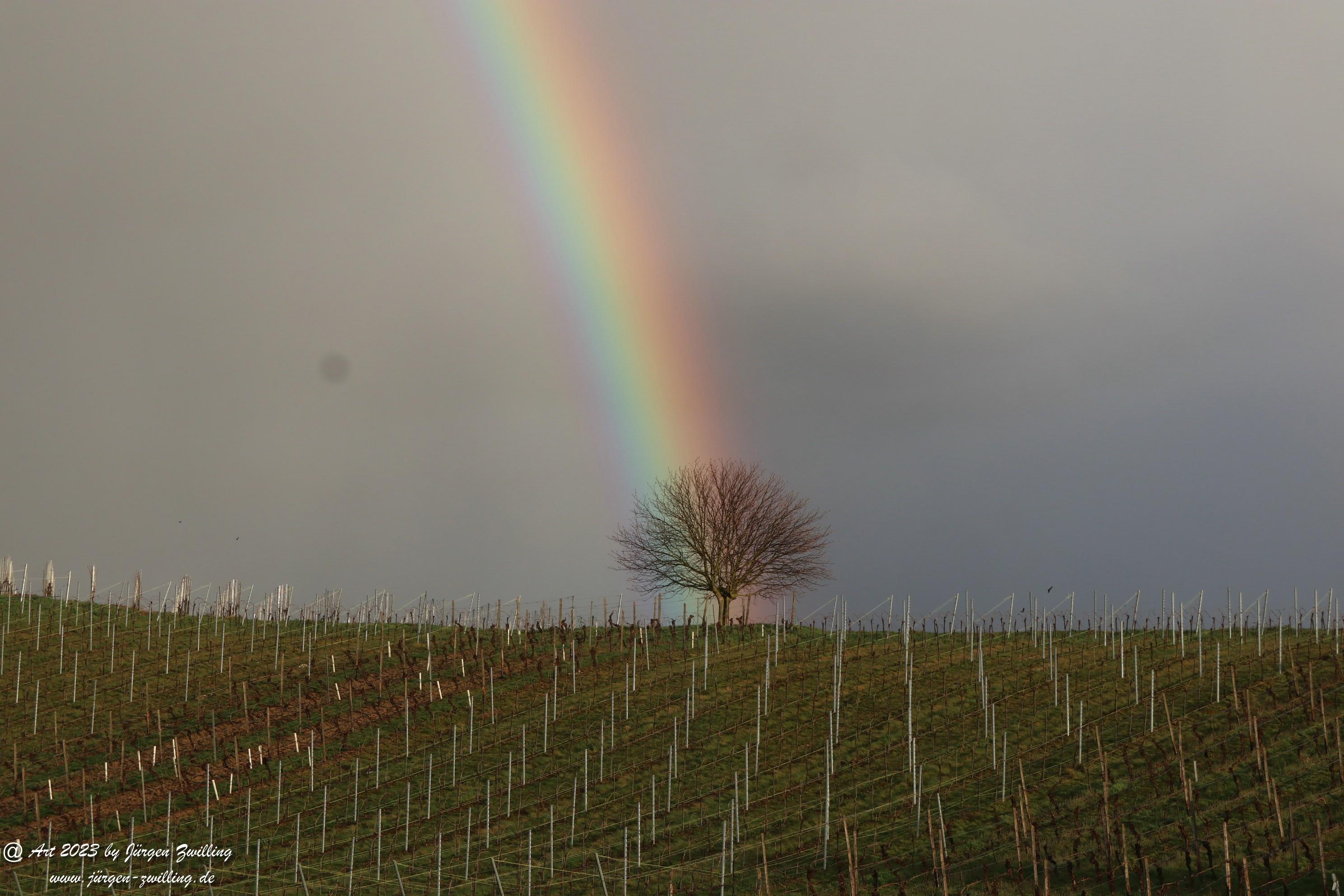 Regenbogen über Hackenheim 4