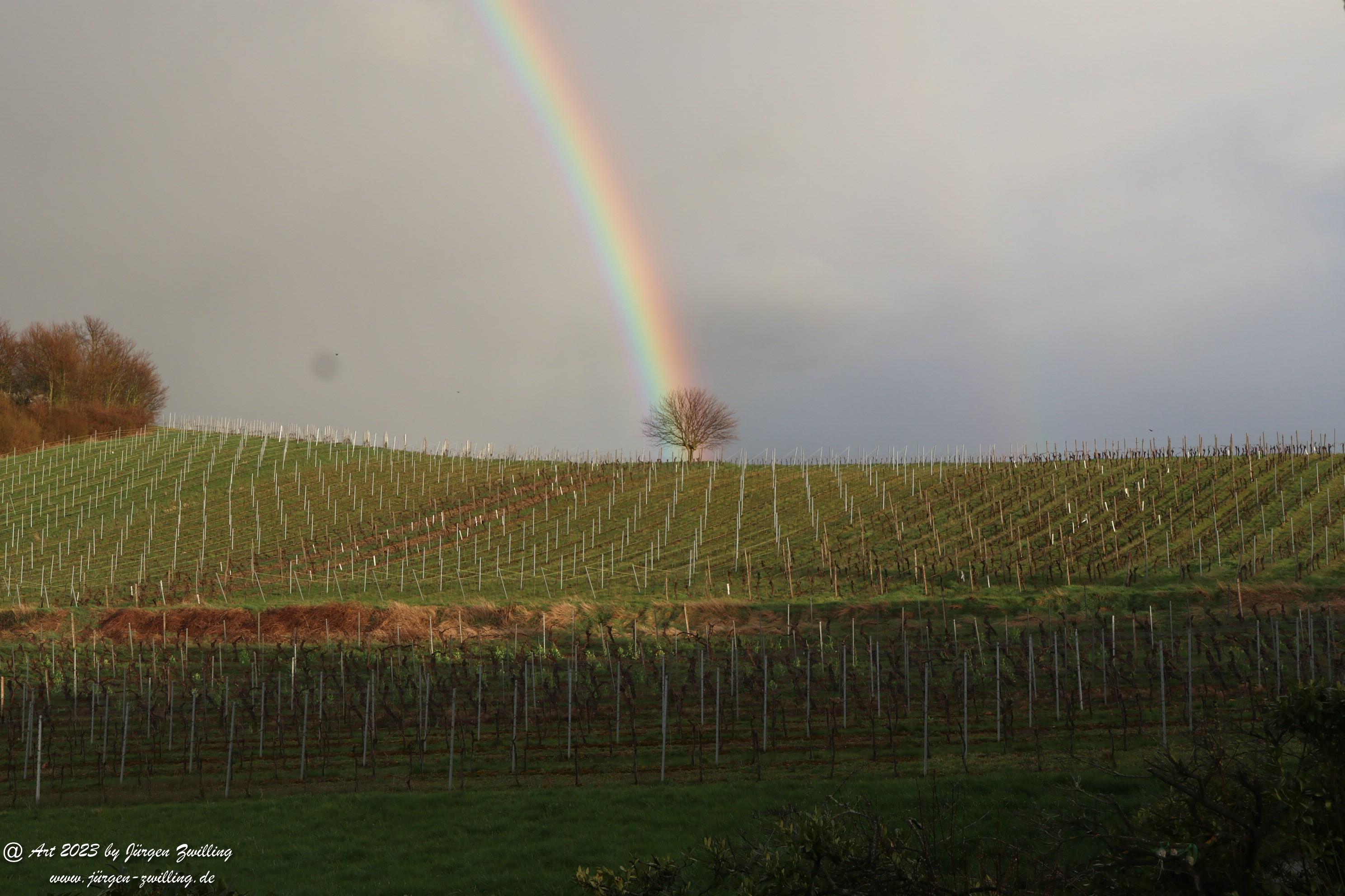 Regenbogen über Hackenheim 5