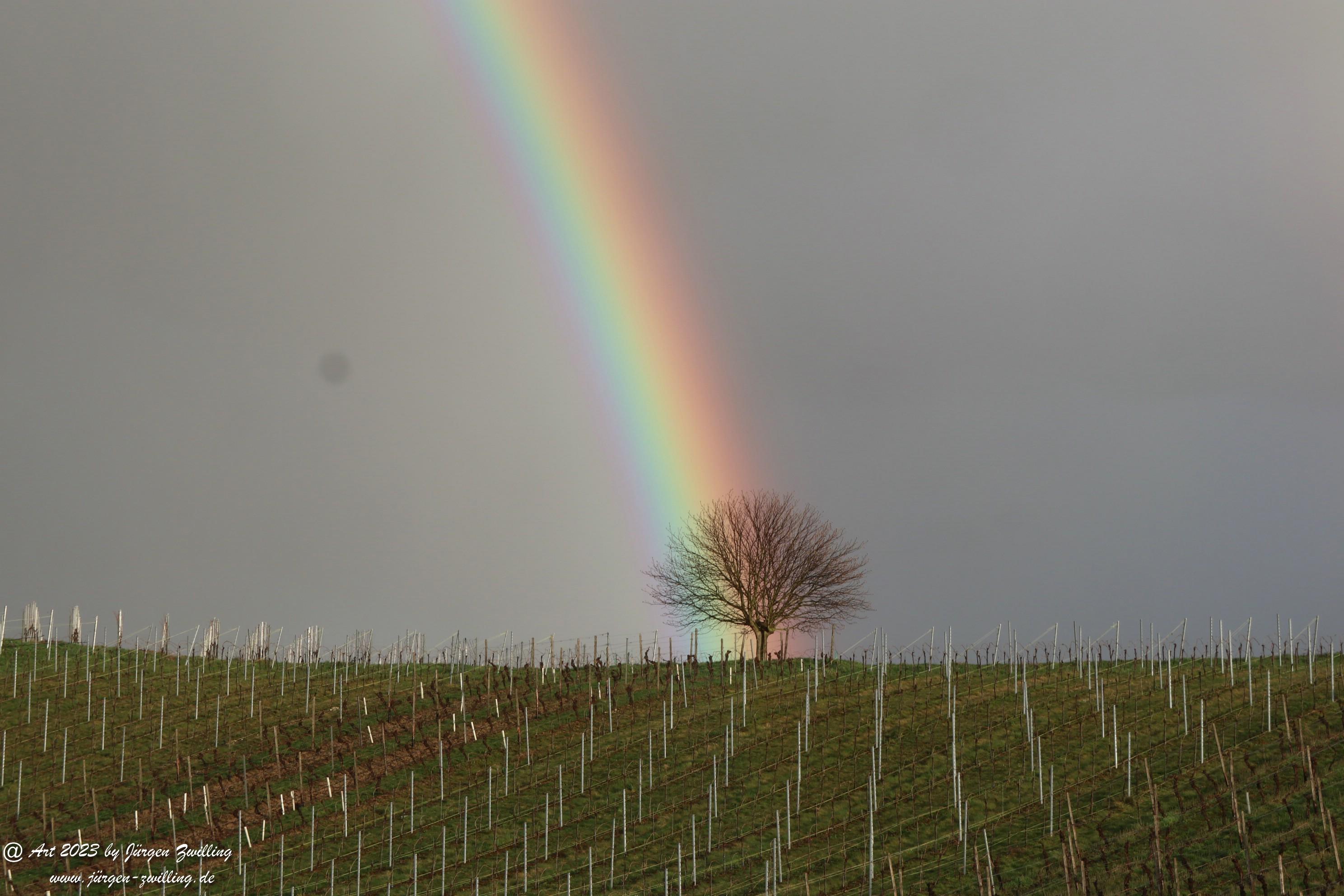 Regenbogen über Hackenheim 6
