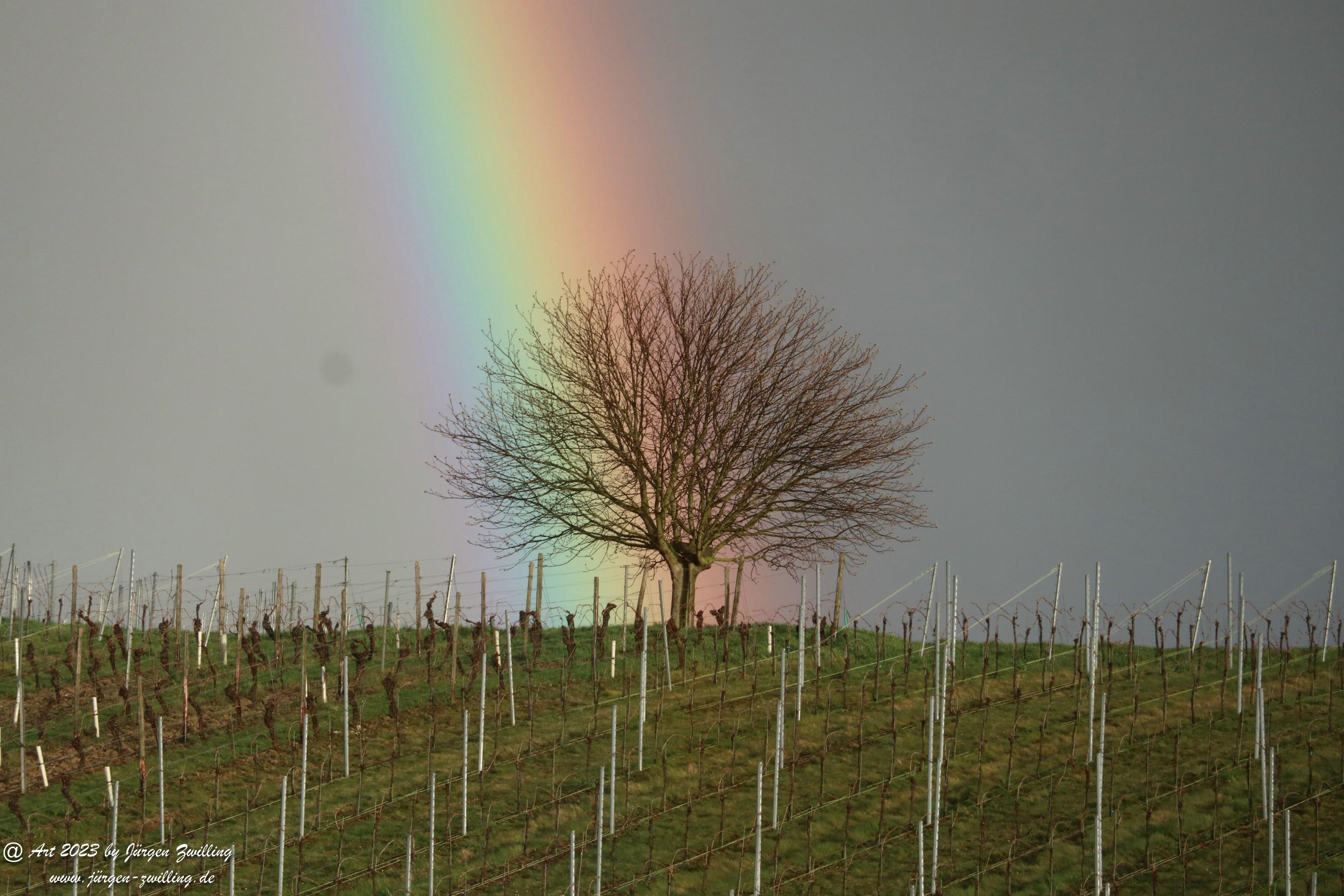 Regenbogen über Hackenheim 8