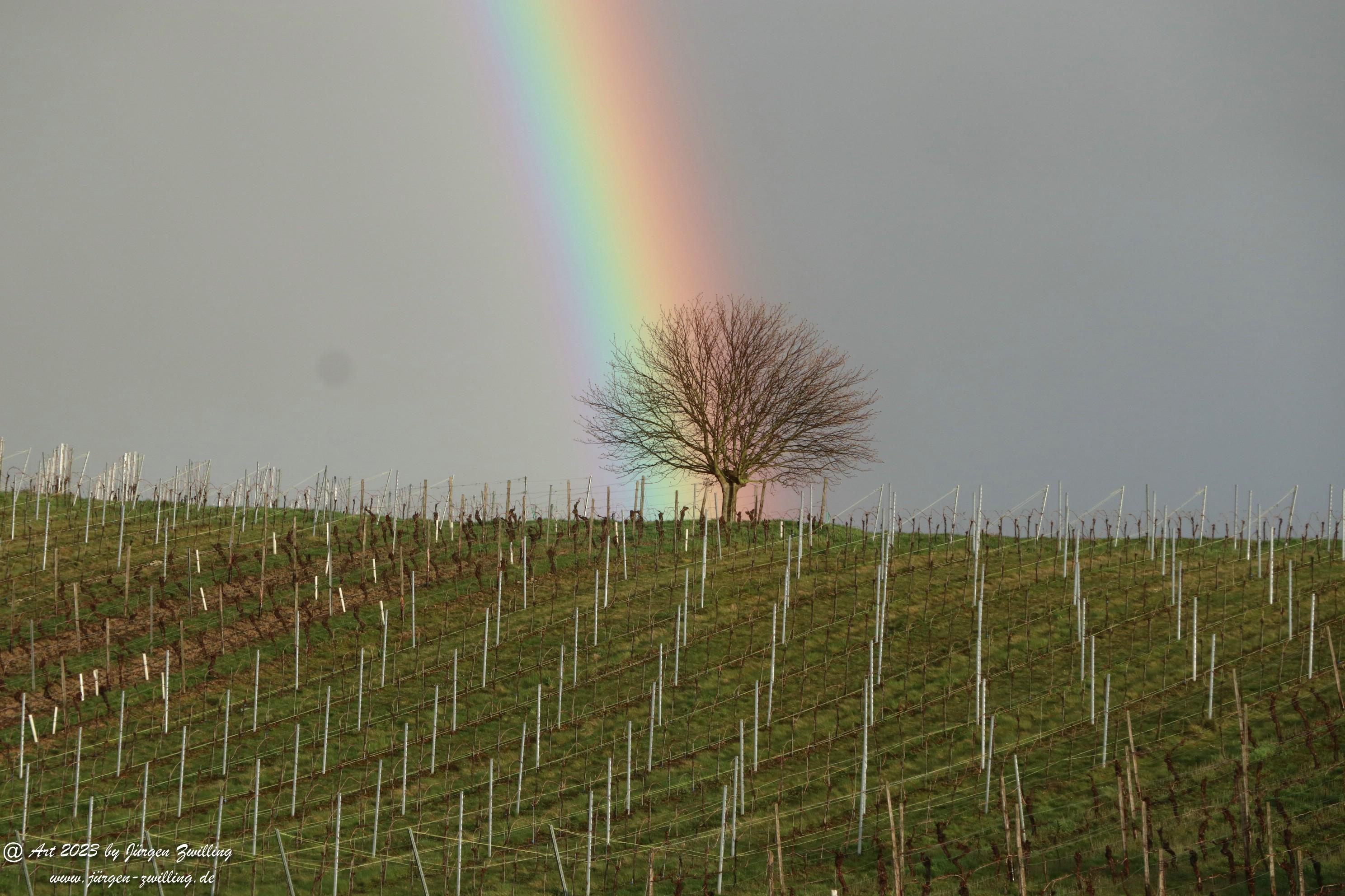 Regenbogen über Hackenheim 9 