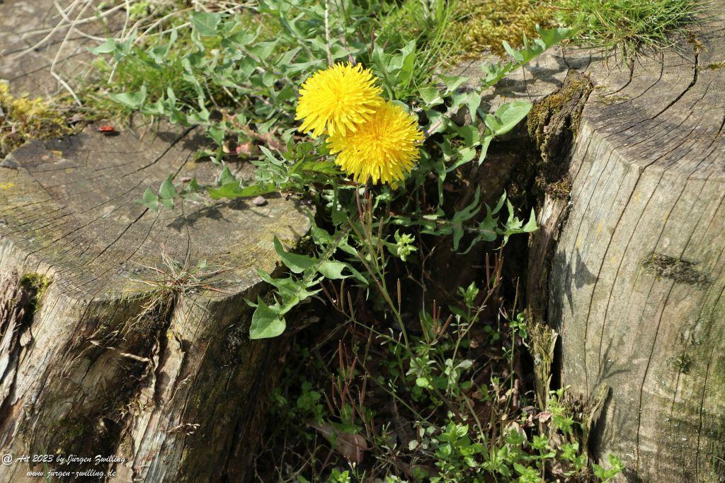 Saarburg - Trier - Saarland