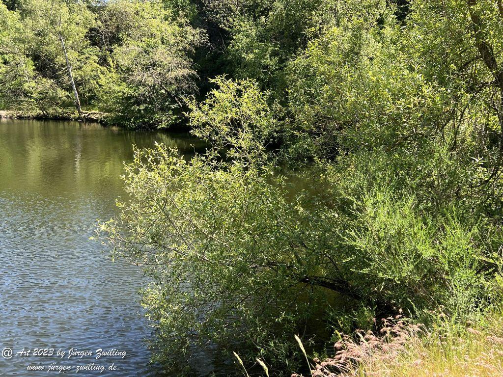Silbersee auf dem Lemberg - Feilbingert - Rheinhessen