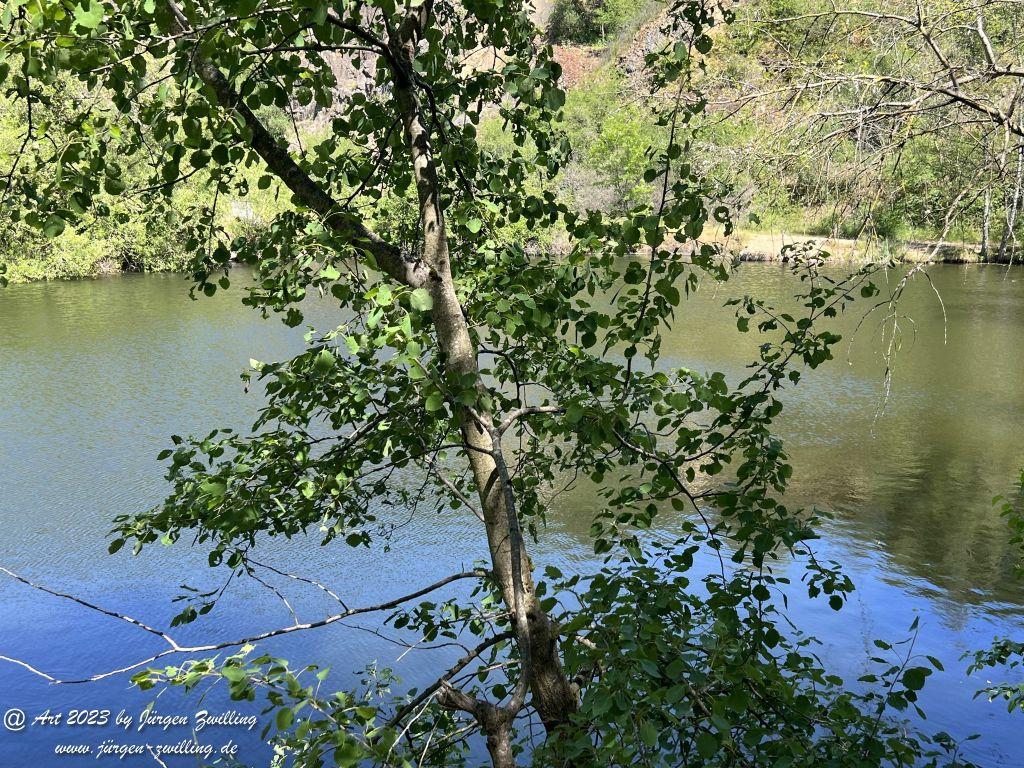 Silbersee auf dem Lemberg - Feilbingert - Rheinhessen