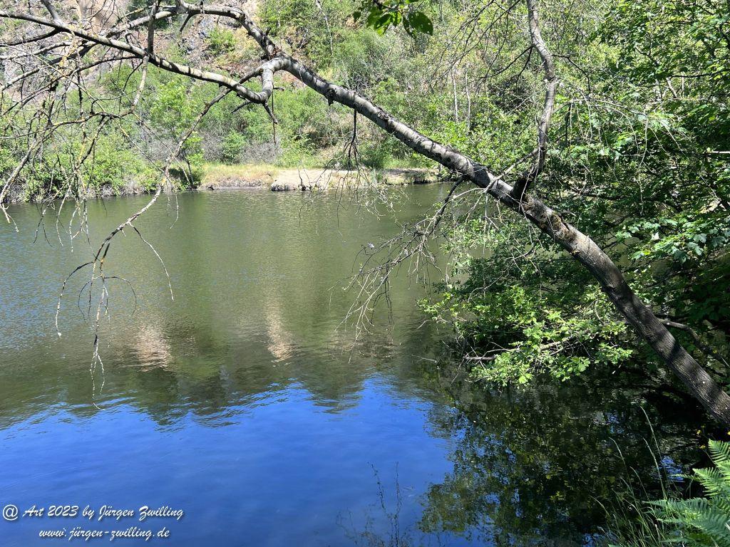Silbersee auf dem Lemberg - Feilbingert - Rheinhessen