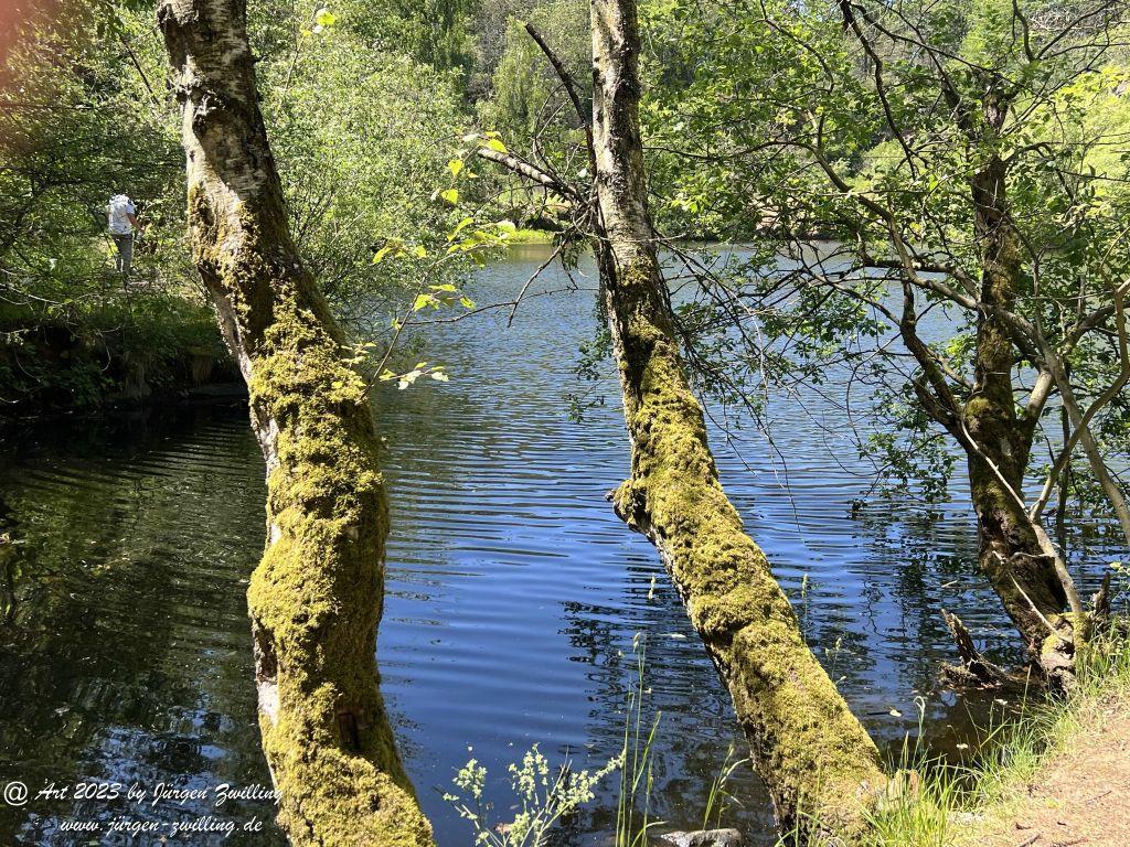 Silbersee auf dem Lemberg - Feilbingert - Rheinhessen