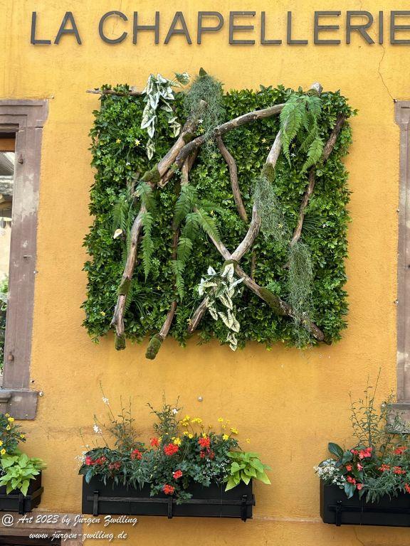 Riquewihr - Elsass - Alsace - Frankreich