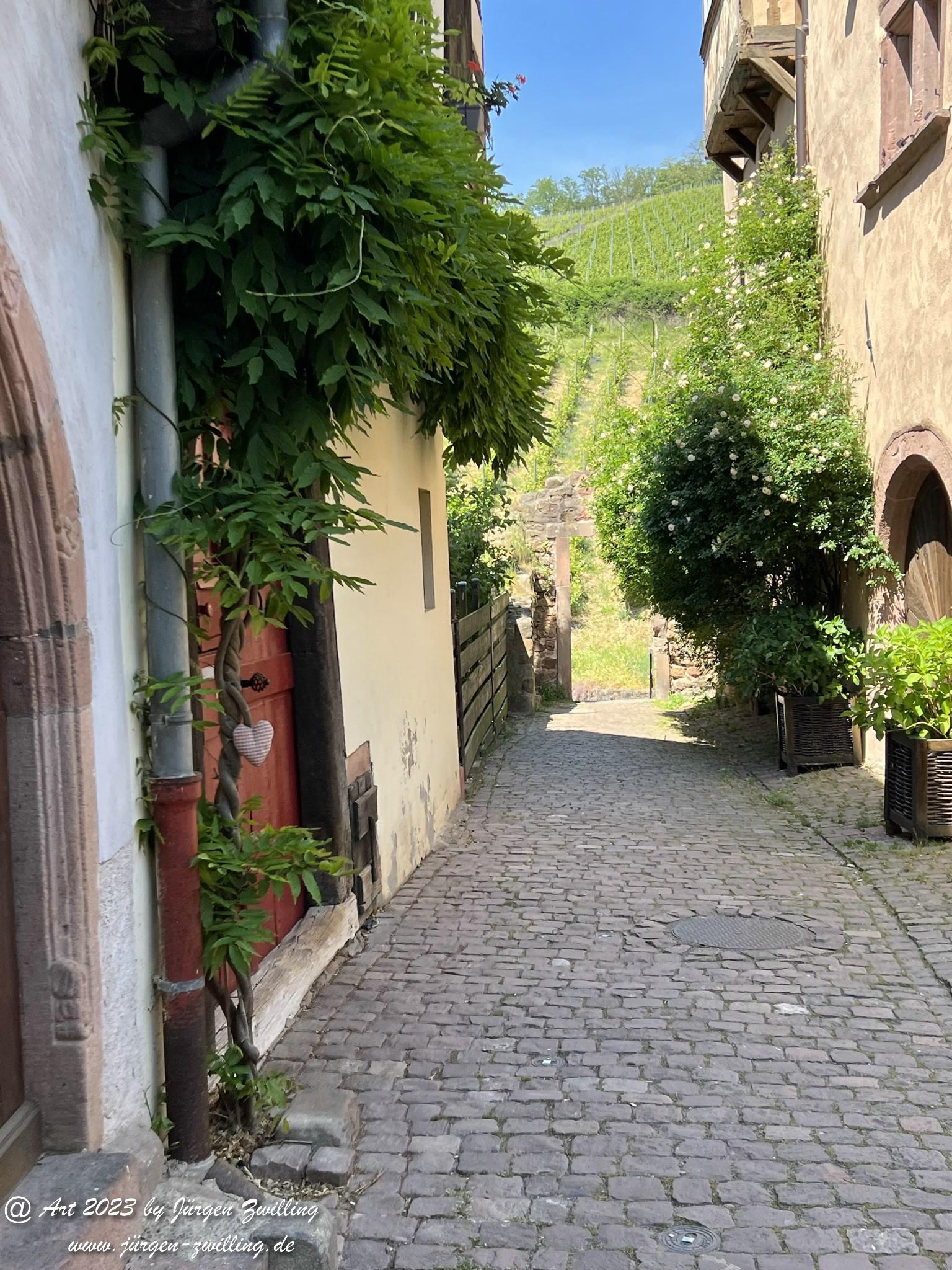 Riquewihr - Elsass - Alsace 23