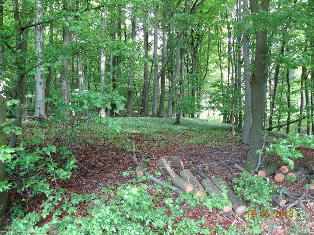 Philosophische Bildwanderung Nibelungentour