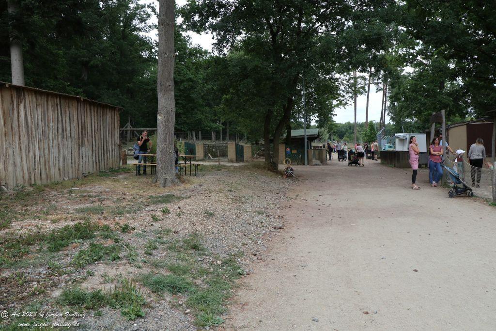 Tierpark Rheinböllen - Hunsrück