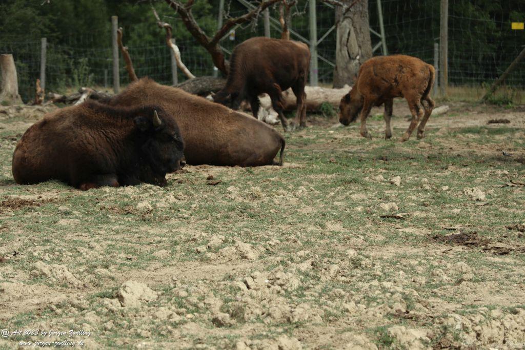Tierpark Rheinböllen - Hunsrück