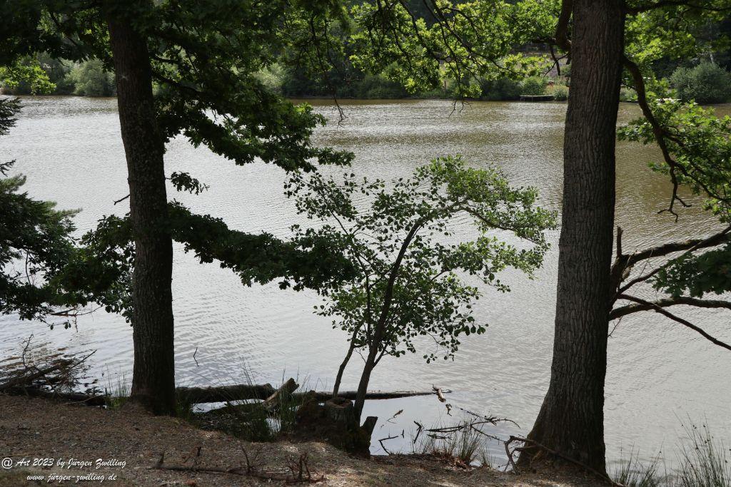 Tierpark Rheinböllen - Hunsrück