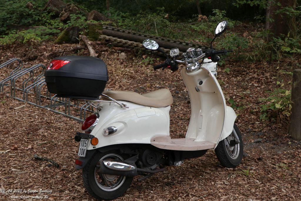 Tierpark Rheinböllen - Hunsrück