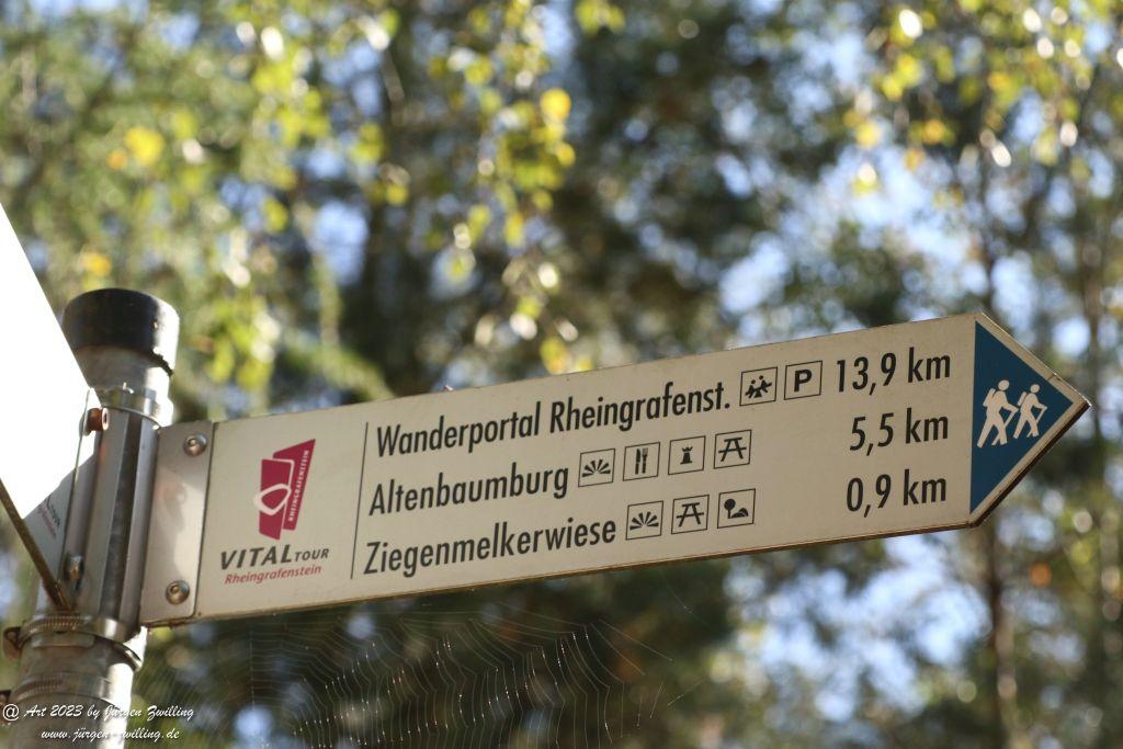 Philosophische Bildwanderung Vitaltour Altenbaumburg von Hackenheim - Naheland