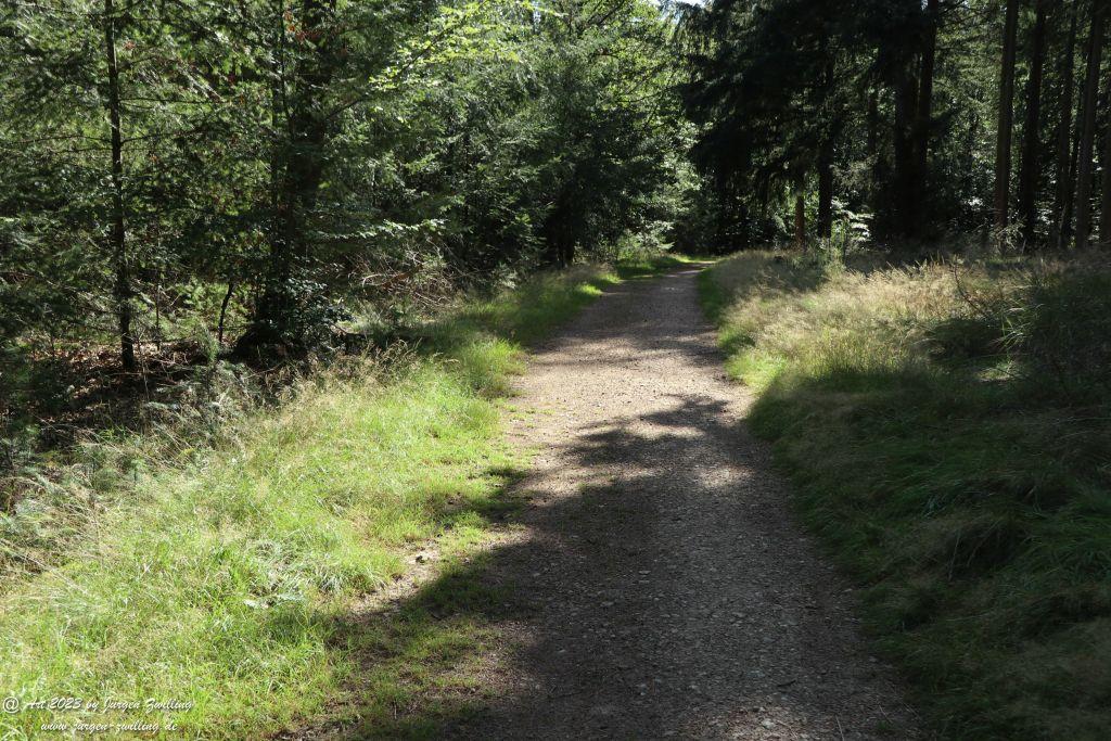 Philosophische Bildwanderung Vitaltour Altenbaumburg von Hackenheim - Naheland