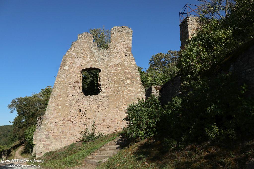 Philosophische Bildwanderung Vitaltour Altenbaumburg von Hackenheim - Naheland