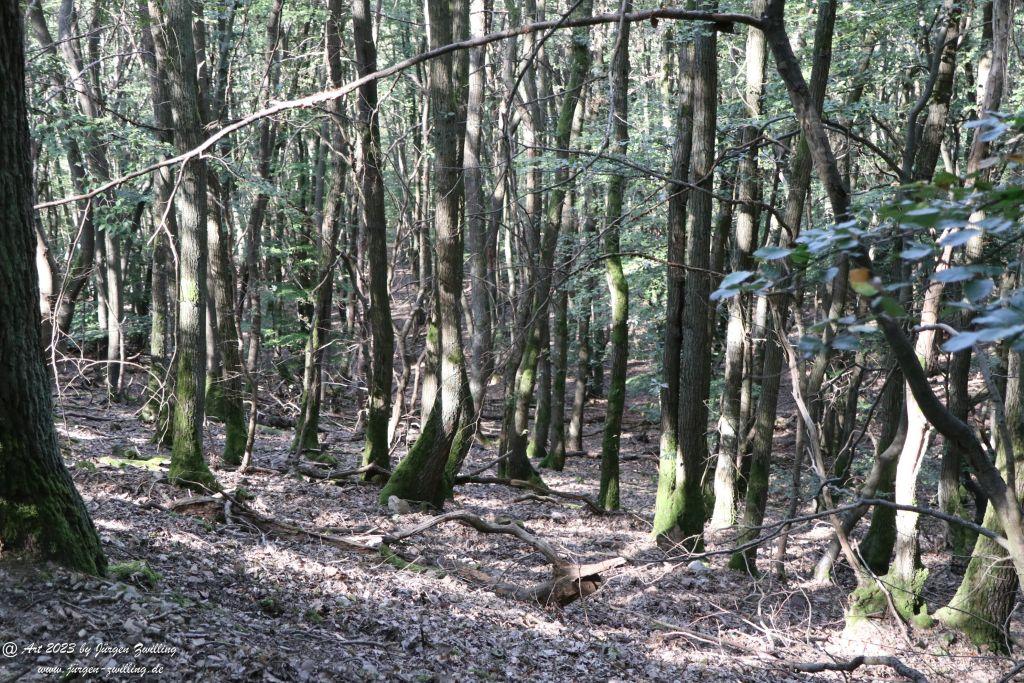 Philosophische Bildwanderung Große Rüdesheimer Runde mit Schleife Ramstein von Bingen