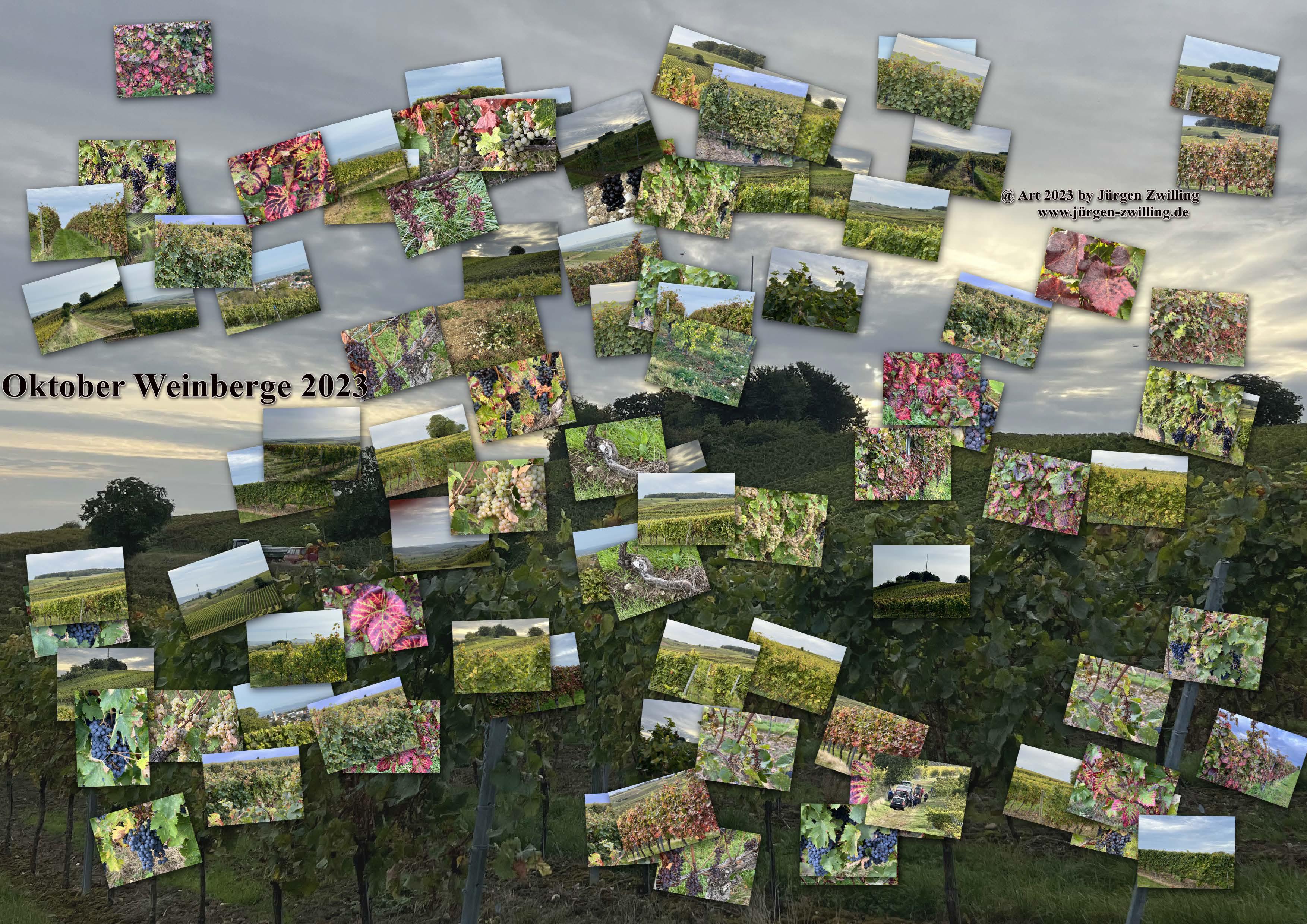 05.10.2023 Oktober Weinberge 2023 - Hackenheim - Rheinhessen