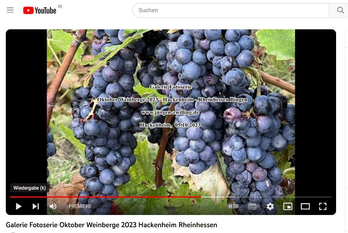 05.10.2023 Oktober Weinberge 2023 - Hackenheim - Rheinhessen